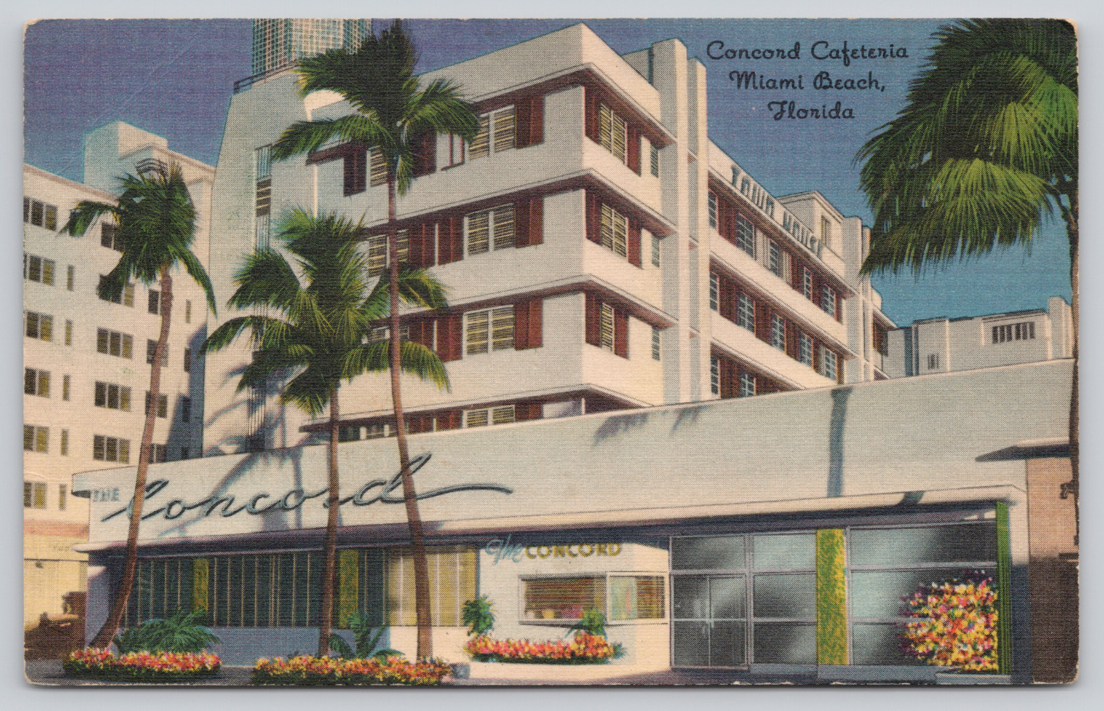 Postcard Concord Cafeteria Miami Beach, Florida Fl Linen circa 1950s A237