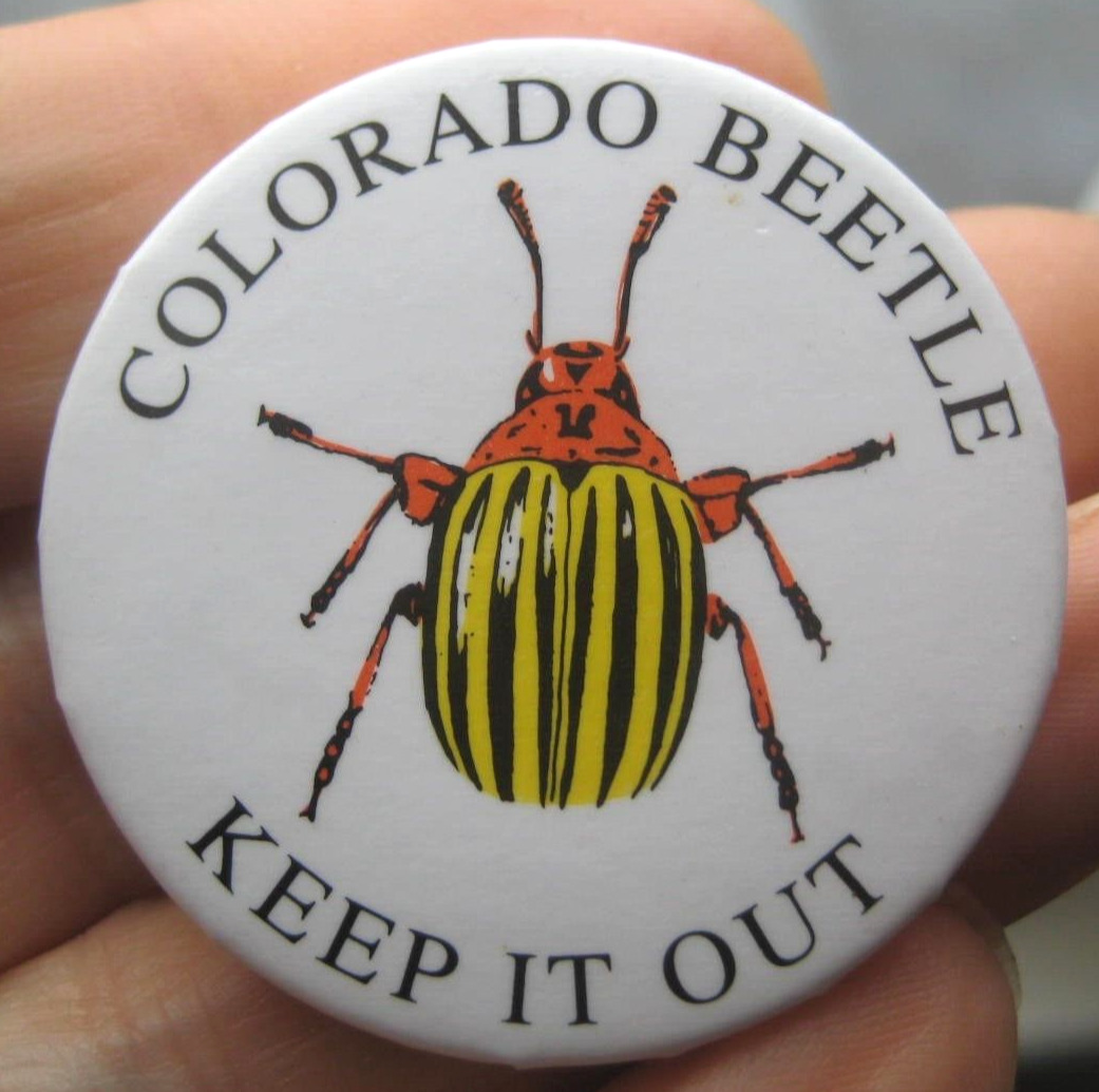 MINISTRY OF AGRICULTURE vintage 1980s COLORADO BEETLE Campaign 38mm pin BADGE