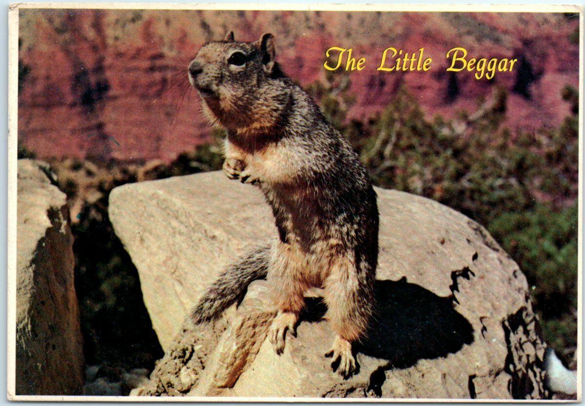 Postcard - The Little Beggar