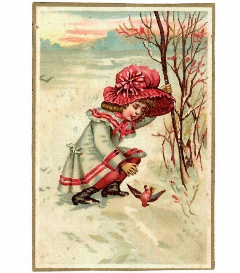 Victorian Trade Card Girl 1890's Christmas Schnull-Krag Coffee Child Winter Bird