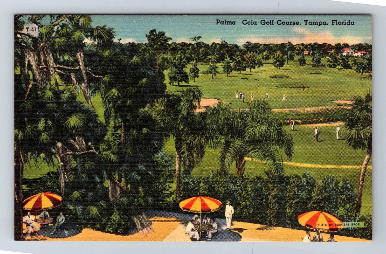 Tampa FL-Florida, Palma Ceia Golf Course and Patio, Antique Vintage Postcard