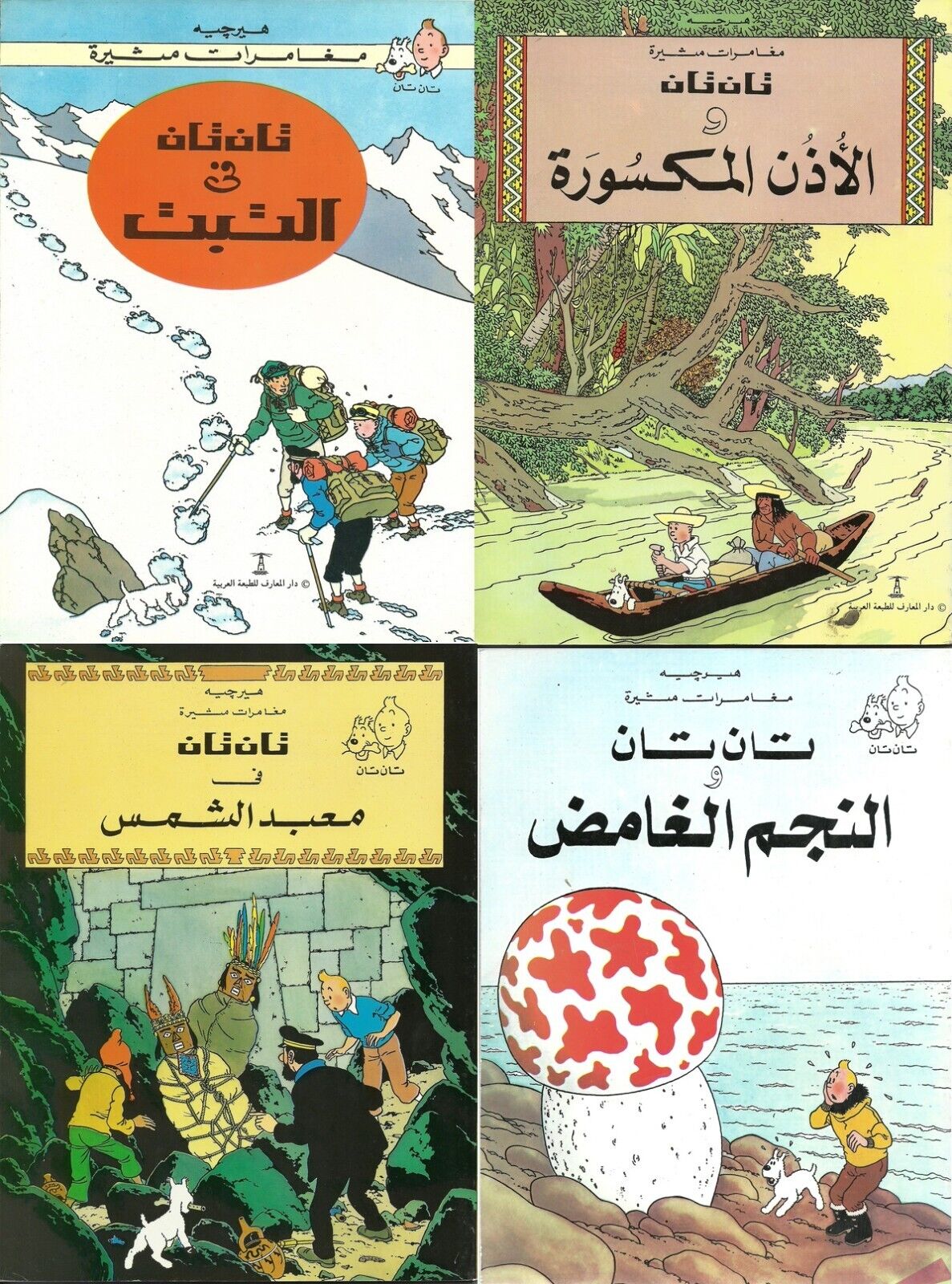 TINTIN Hergé 4 Comics Arabic Edition From Egypt, Adventure Comic, Children Book