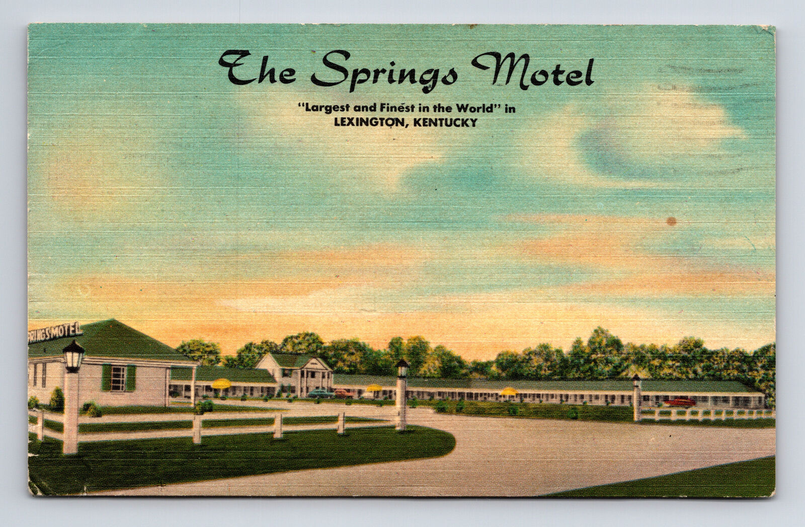 c1955 The Springs Motel US 68 Lexington Kentucky KY Roadside America Postcard