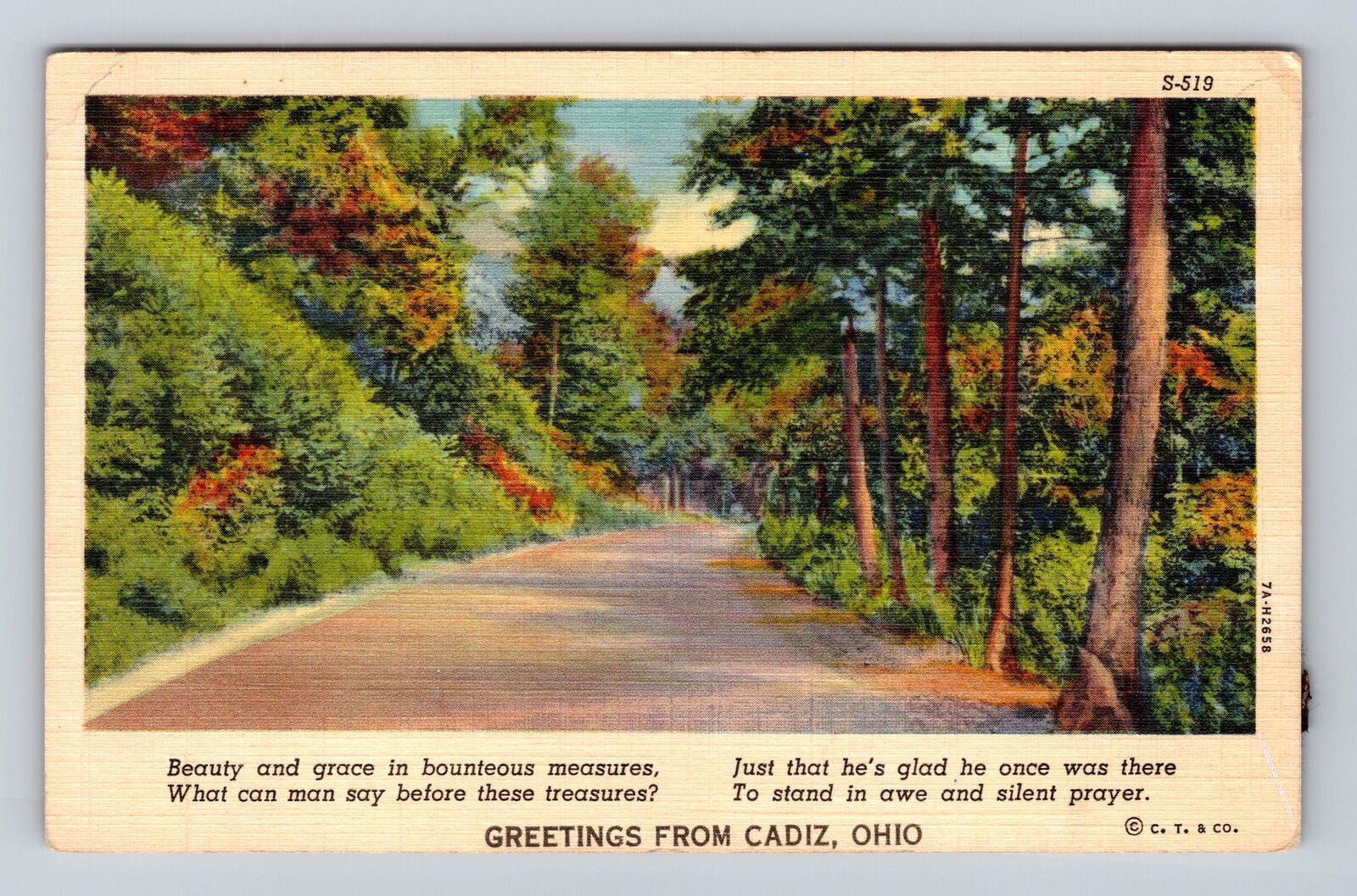 Cadiz OH-Ohio, General Greeting, Scenic Country View, Vintage Souvenir Postcard