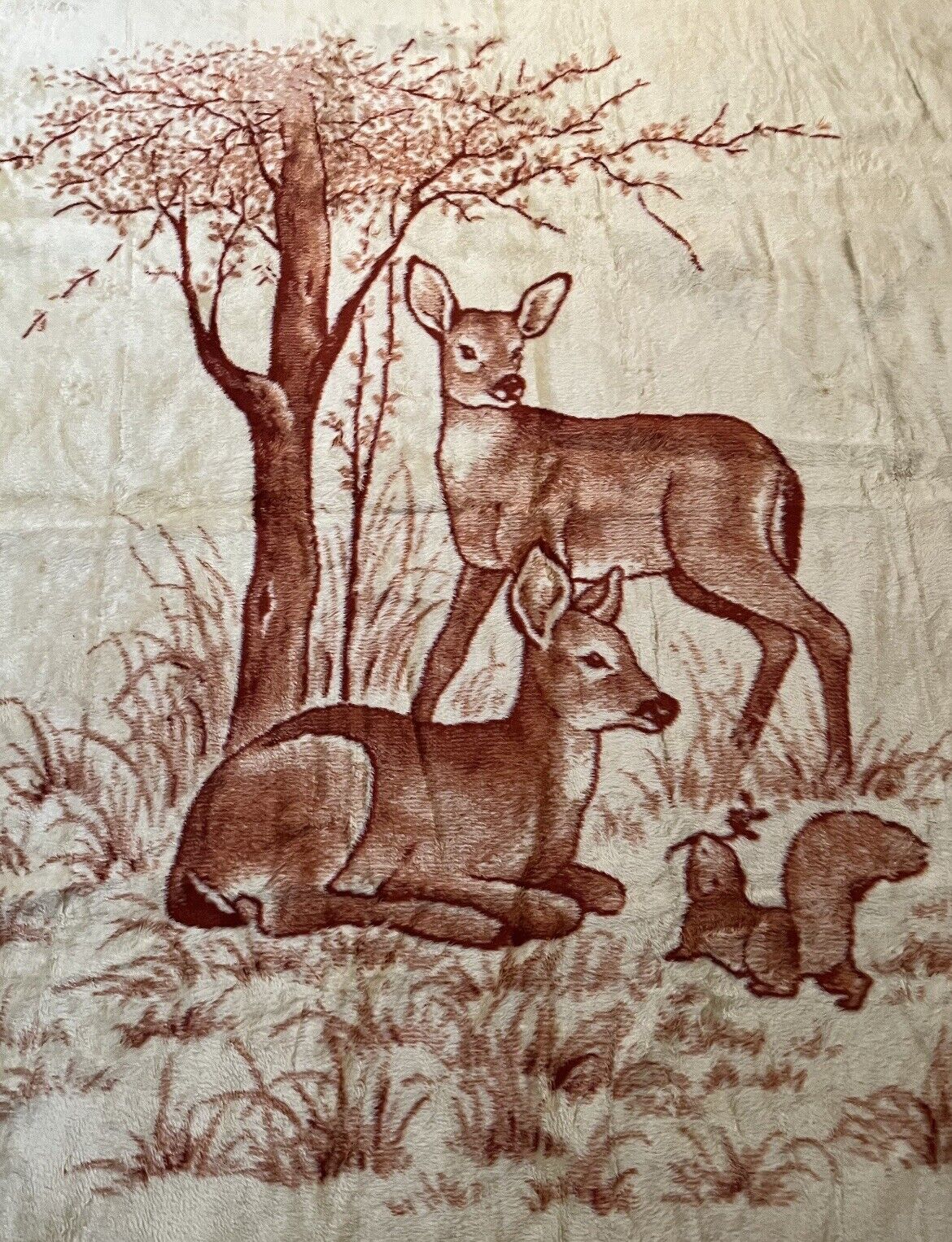 Vintage San Marcos Reversible Blanket - Deer & Squirrel Scene - 72” x 92” - New