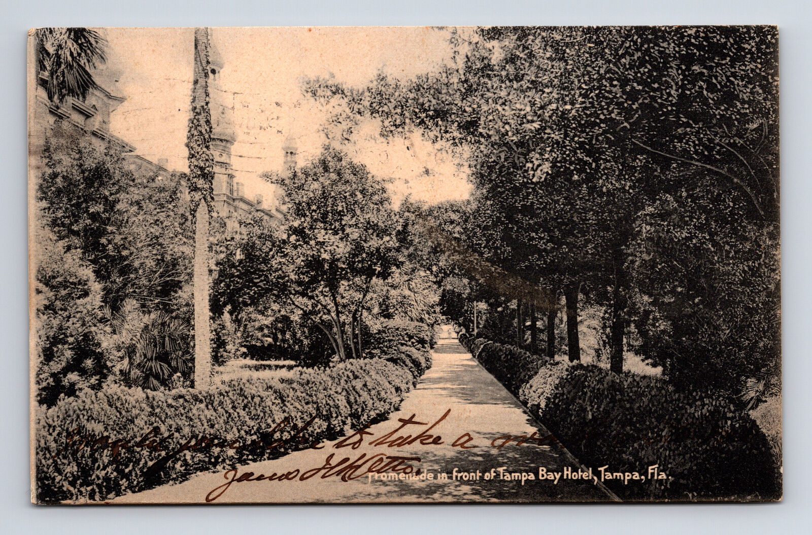 c1907 Promenade at Tampa Bay Hotel Tampa Florida FL Postcard