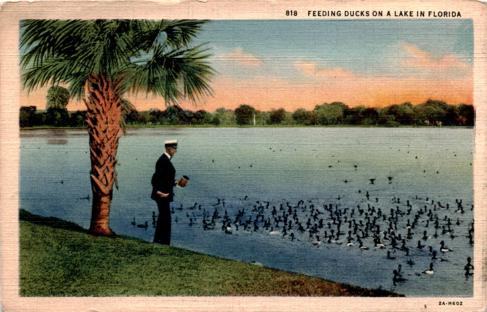 Florida, Jacksonville, Chicago, Mount Vernon, Ohio, 1937, Mrs. J. Postcard
