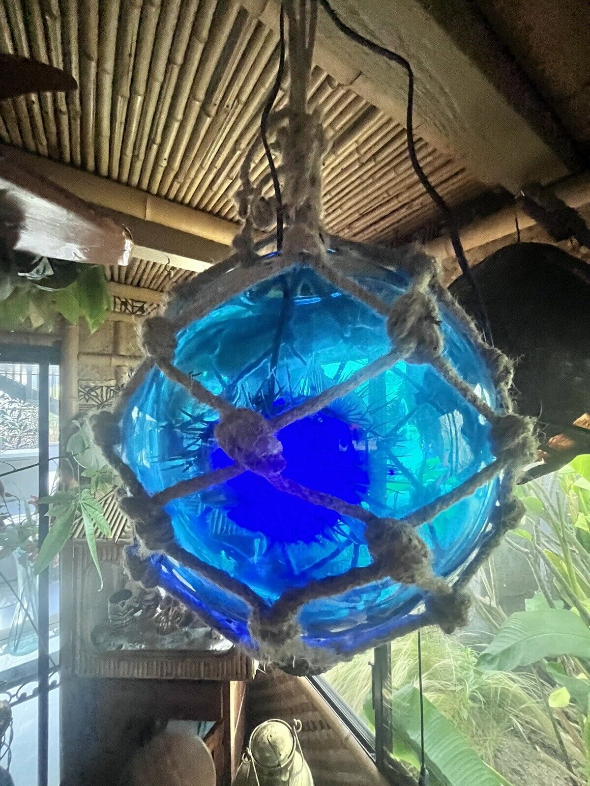 NEW Blue Glass Float W/Real Pufferfish Blue LED Bulb Tiki bar Decor Oceanic