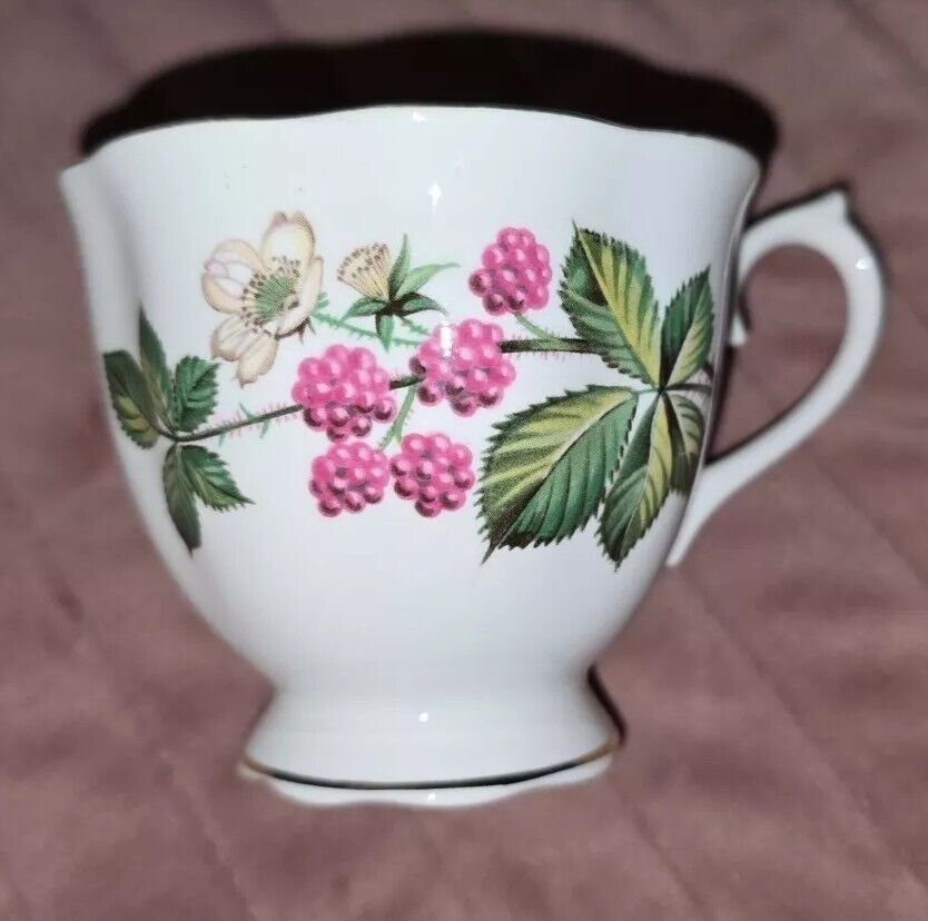 Vintage Royal Albert English Bone China Tea Cup Raspberry England No Saucer