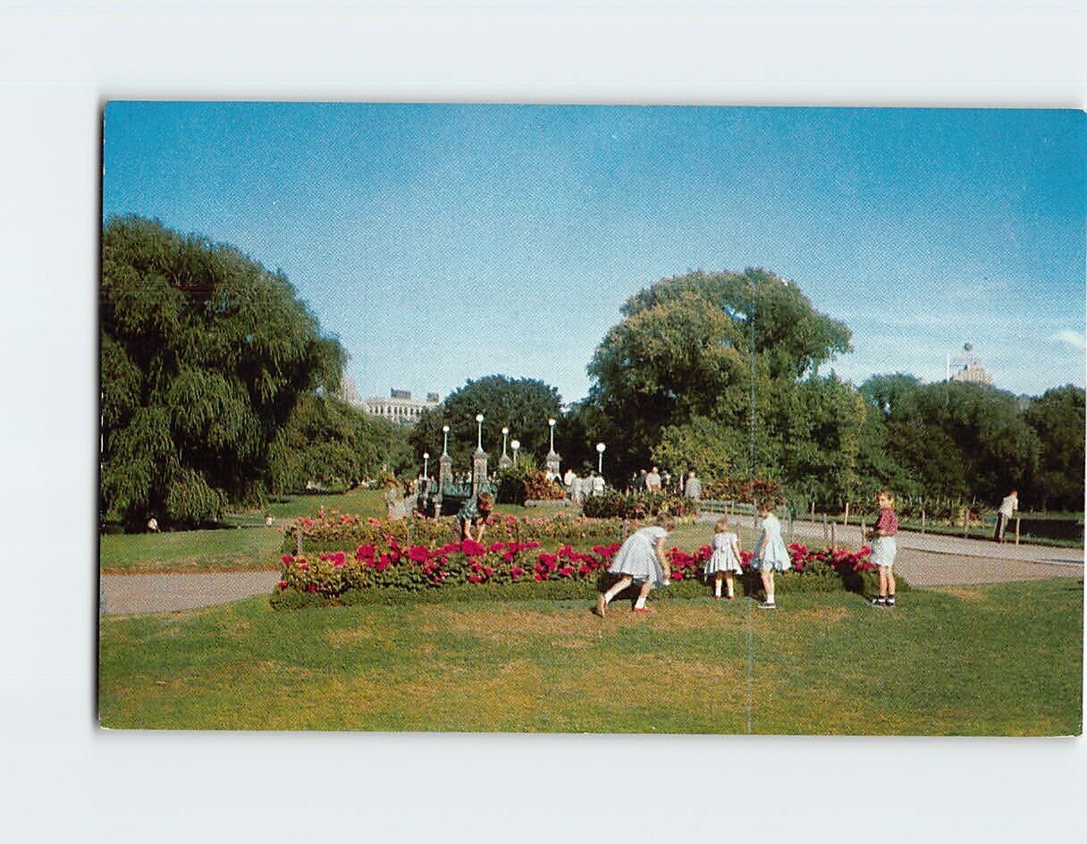 Postcard The Public Gardens, Boston, Massachusetts