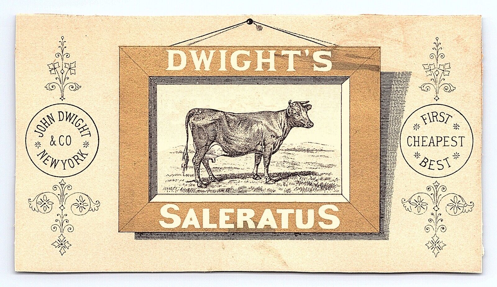 Victorian Trade Card Dwight's Saleratus John Dwight Co New York City NY