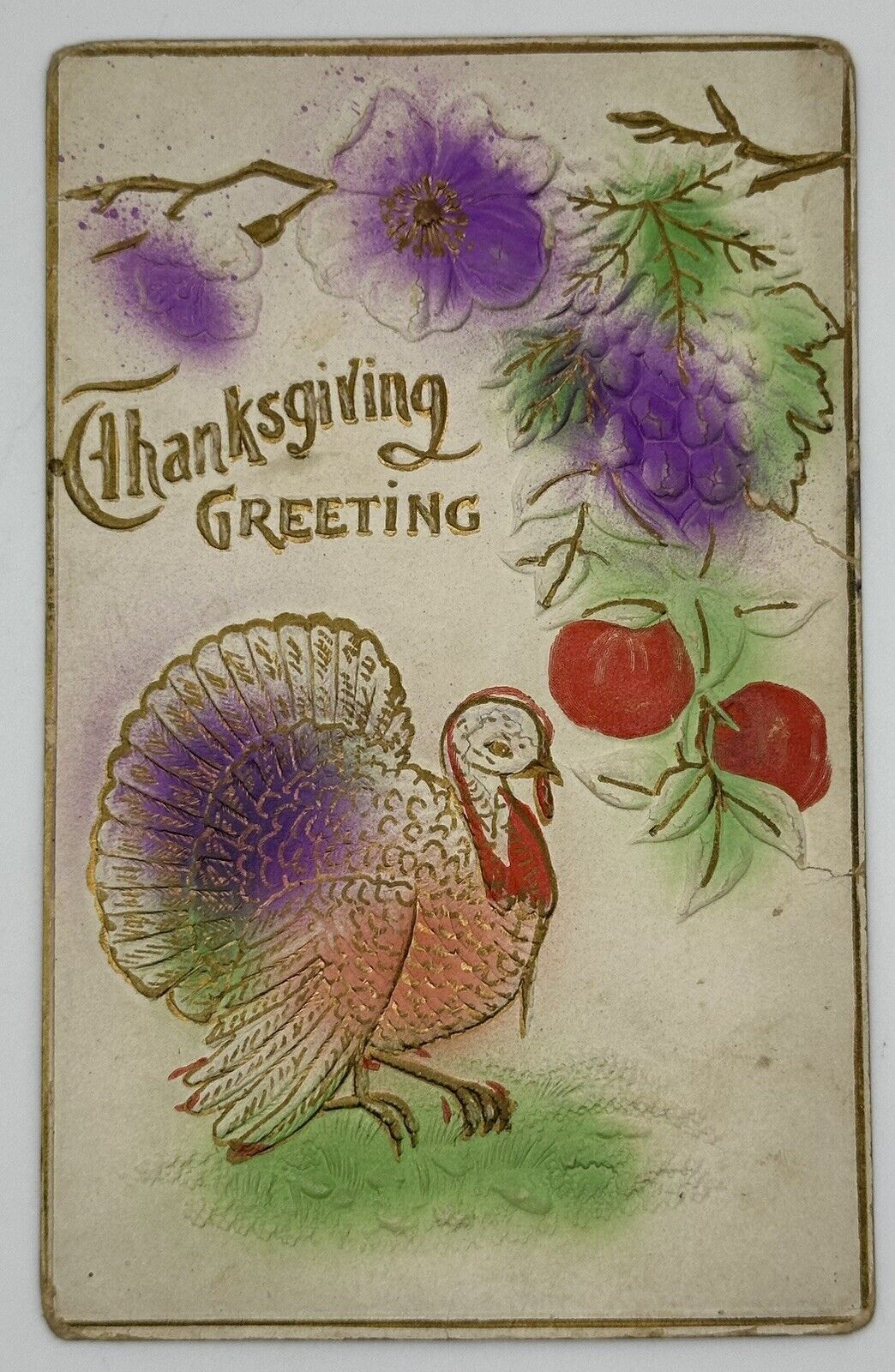 Antique 1911 Thanksgiving Greeting Postcard Embossed Turkey 🦃 Airbrushed