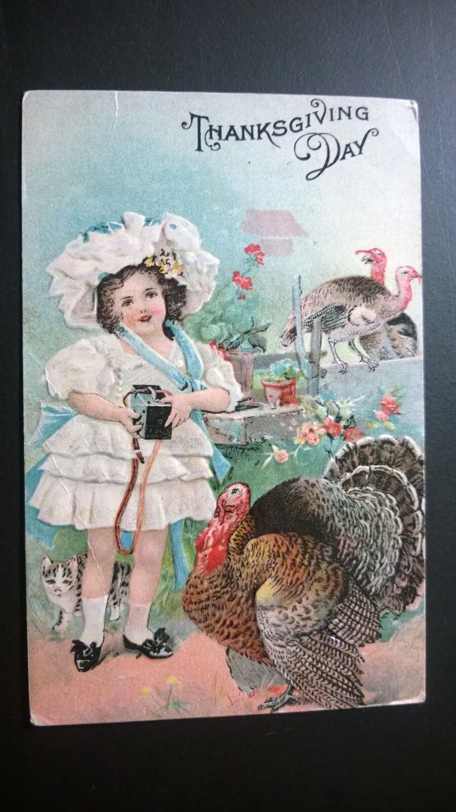  Antique Embossed Postcard 1911 
