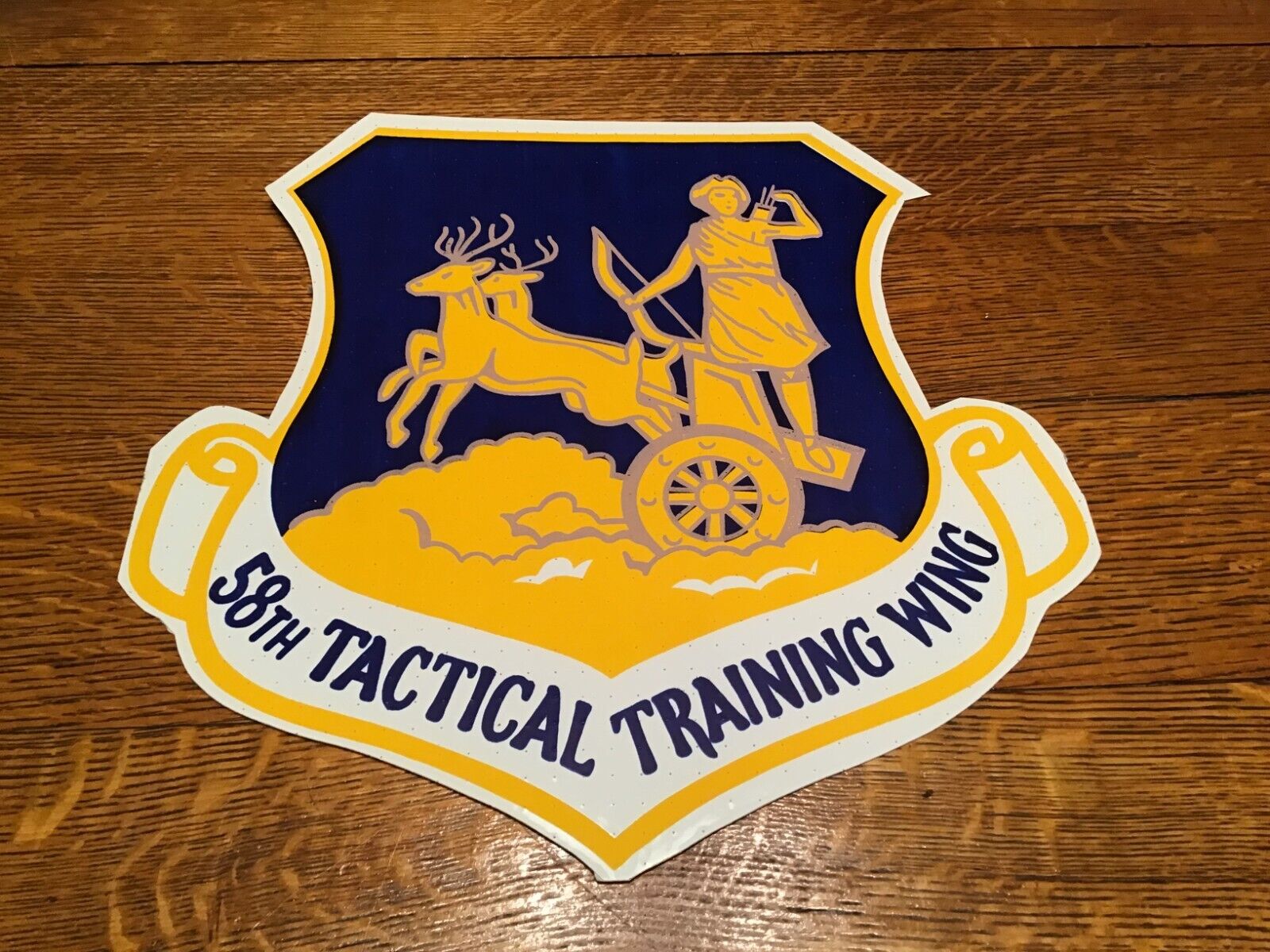 Rare Vintage USAF 58th Tactical Training Wing Squadron 10