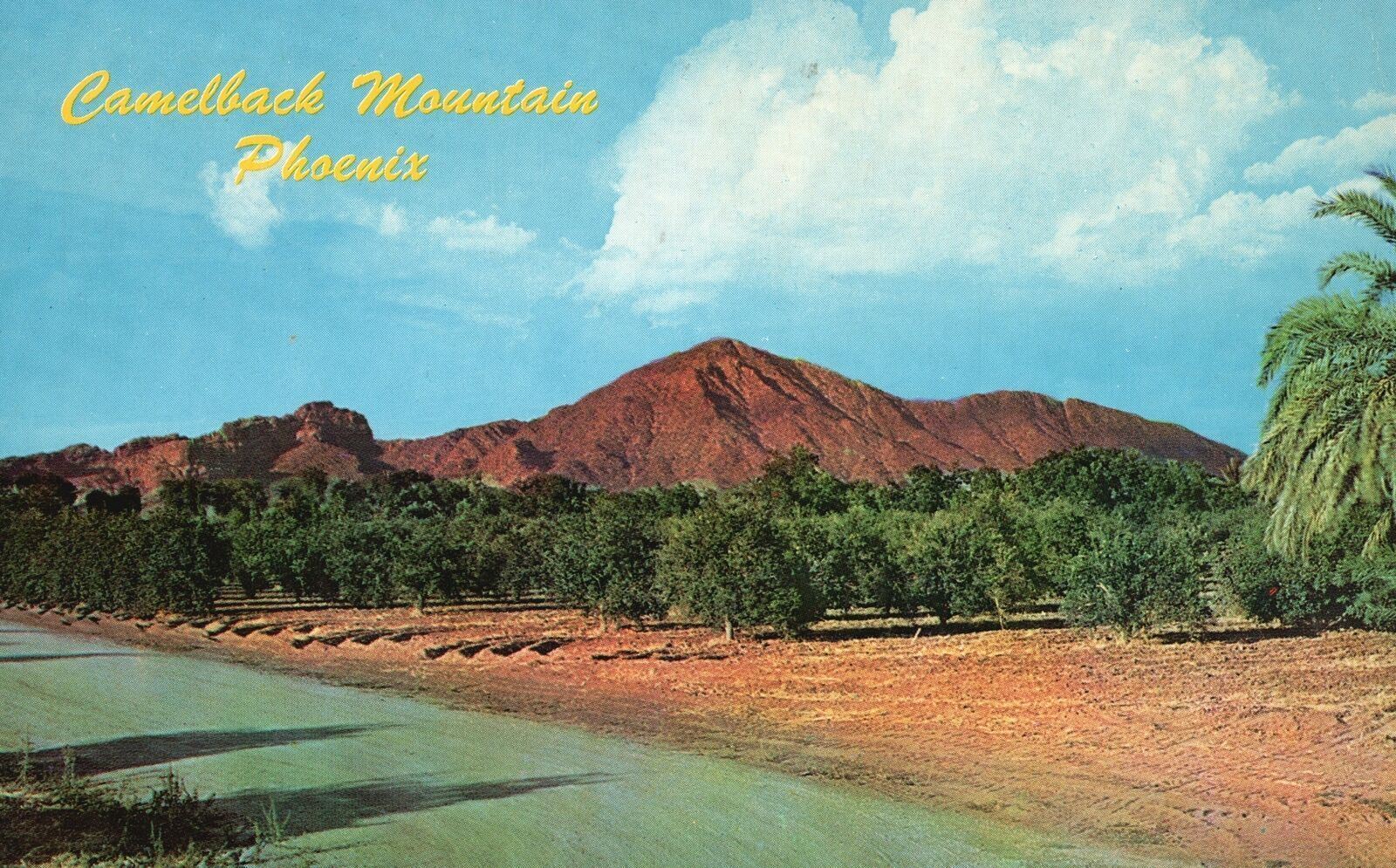 Vintage Postcard Famous Camelback World-Renowned Mountain Phoenix Arizona AZ