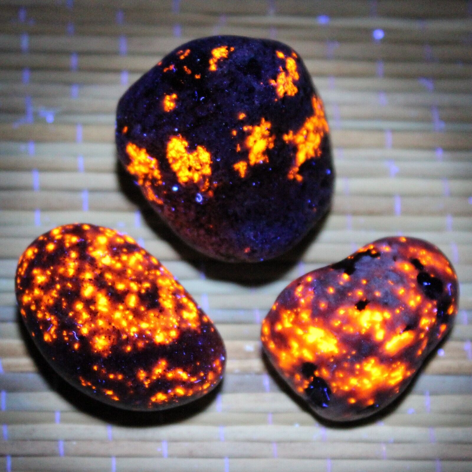 BRIGHT set of 3 Yooperlite Rocks on Lake Superior Fluorescent Sodalite Stones Y4