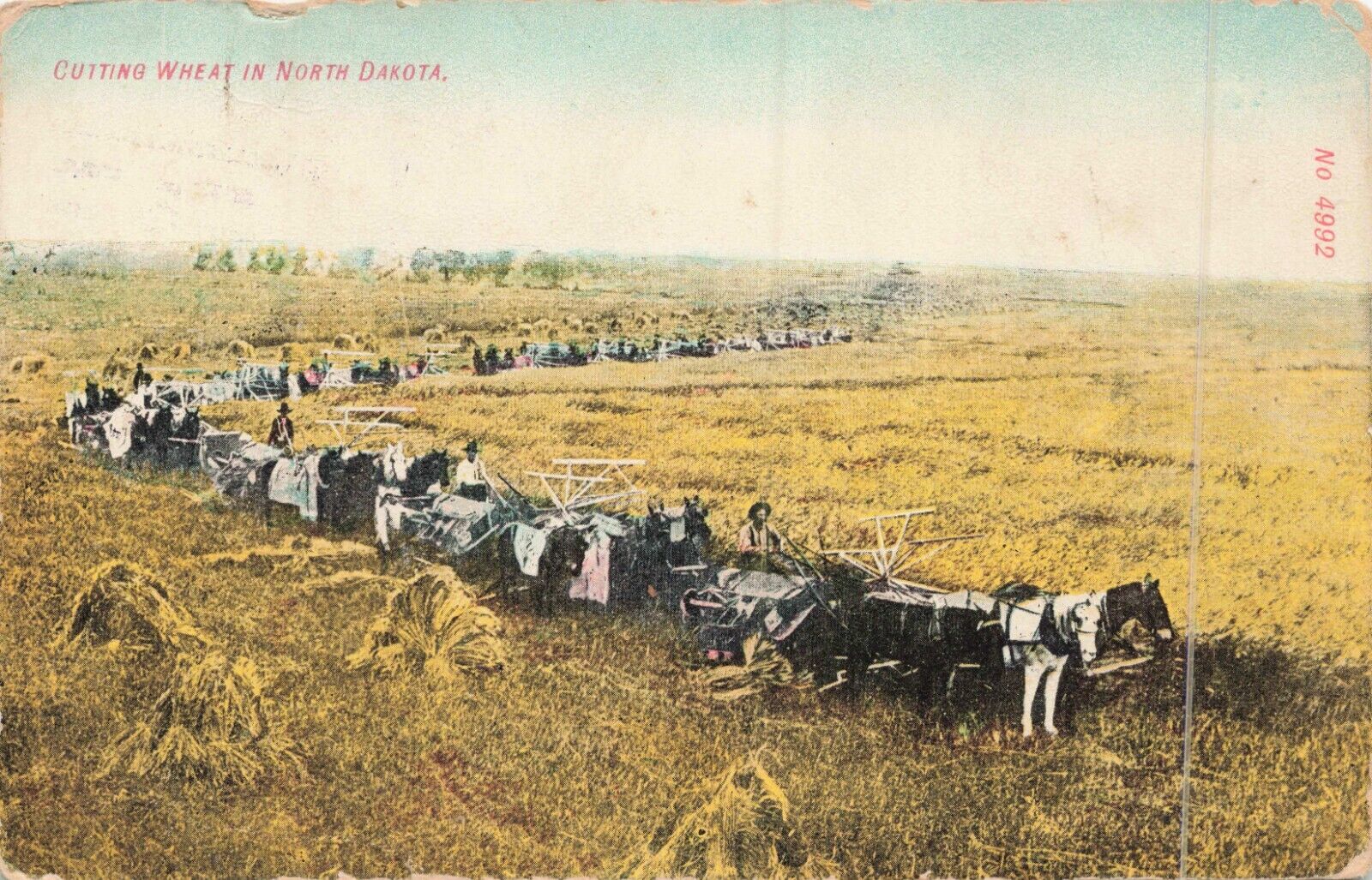 Postcard Cutting Wheat North Dakota Farm Horse Mule 1909 Galesburg pm ND US