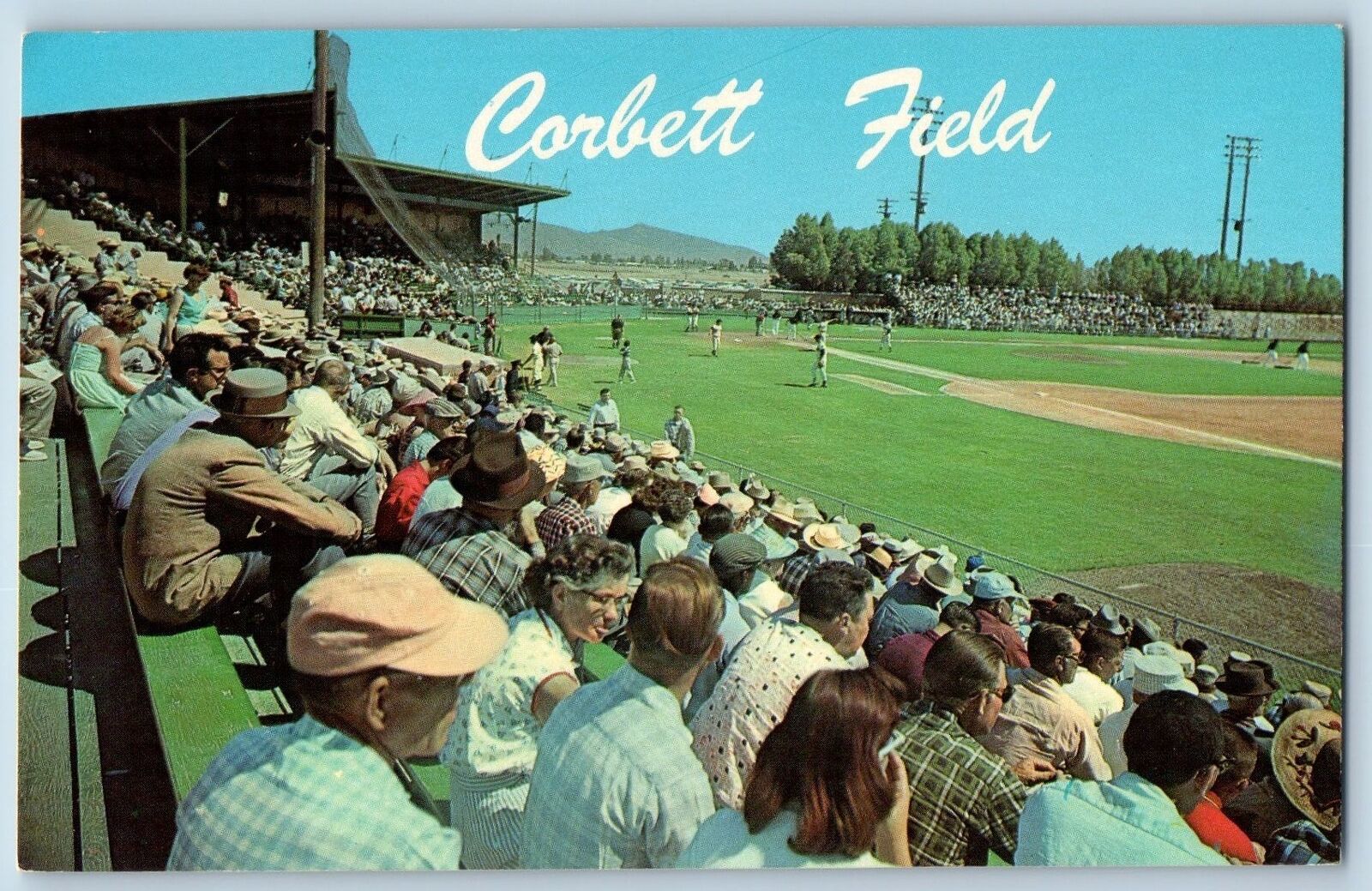Tucson Arizona Postcard Hi Corbett Field Training Camp Stadium Baseball c1960's