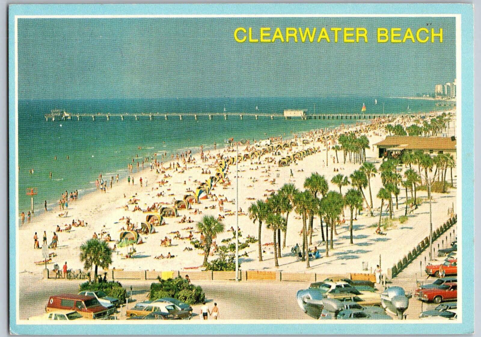 Clearwater Beach, Florida - Tropical Palms Line at Beach - Vintage Postcard 4x6
