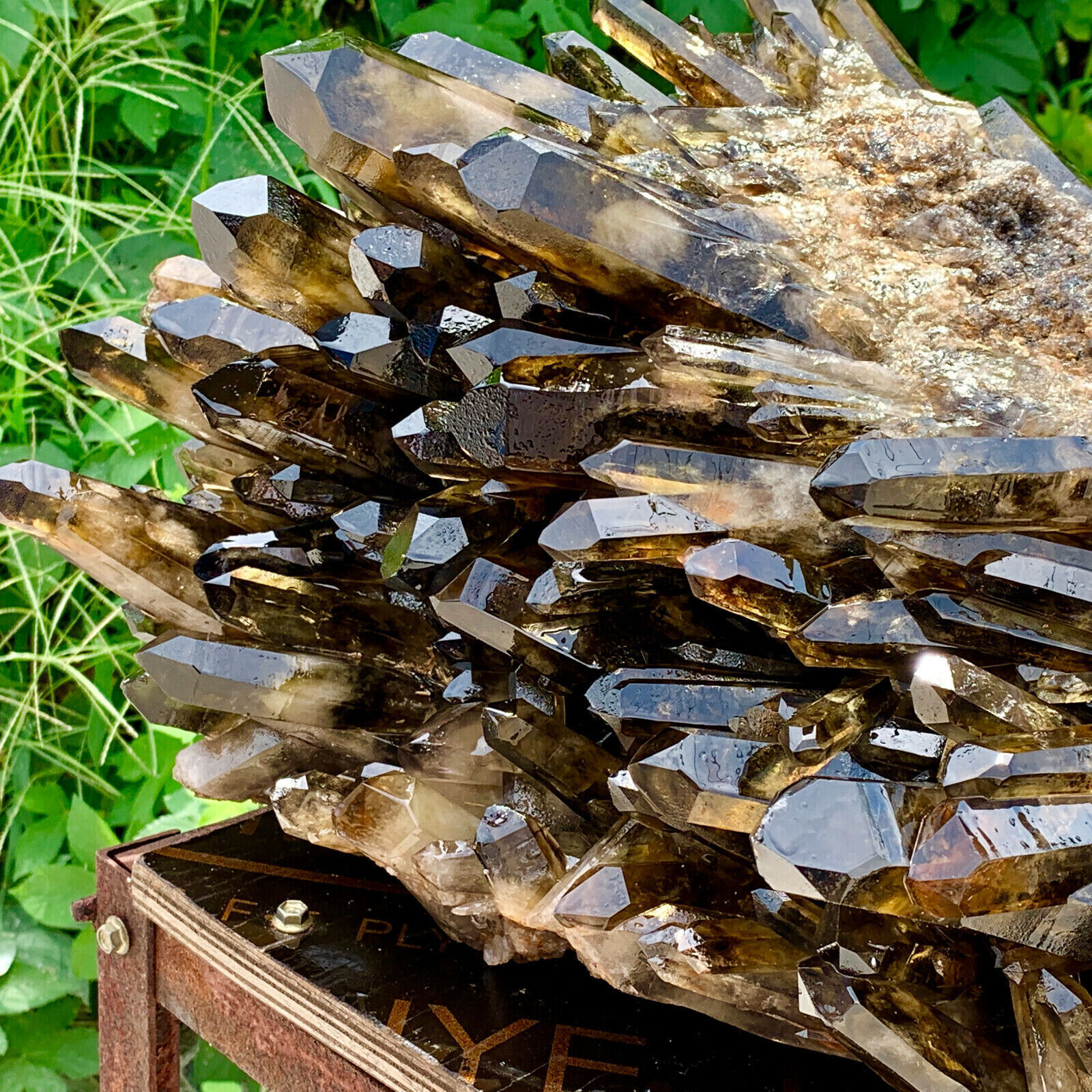 78LB Natural Beautiful Black Quartz Crystal Cluster Mineral Specimen
