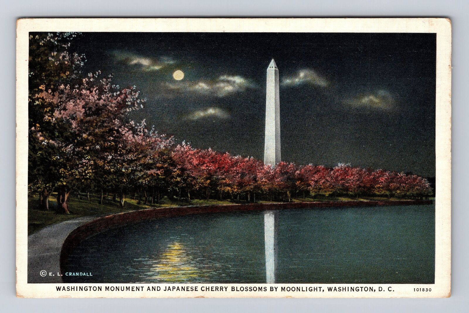 Washington DC, Washington Monument, Japanese Cherry Blossoms Vintage Postcard