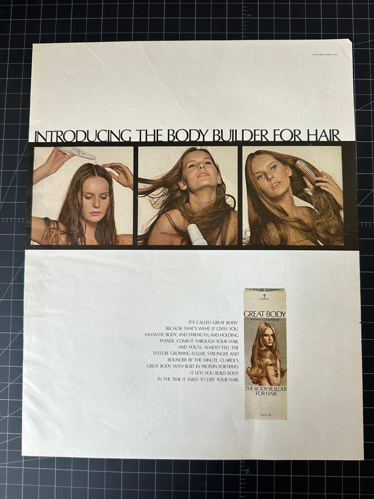 Vintage 1969 Clairol Hair Print Ad