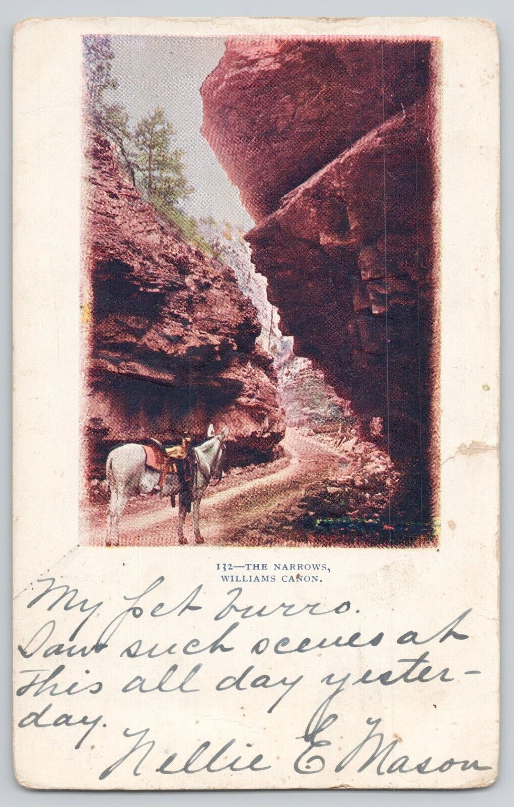 Postcard The Narrows, Williams Canon, Colorado Horse c1905
