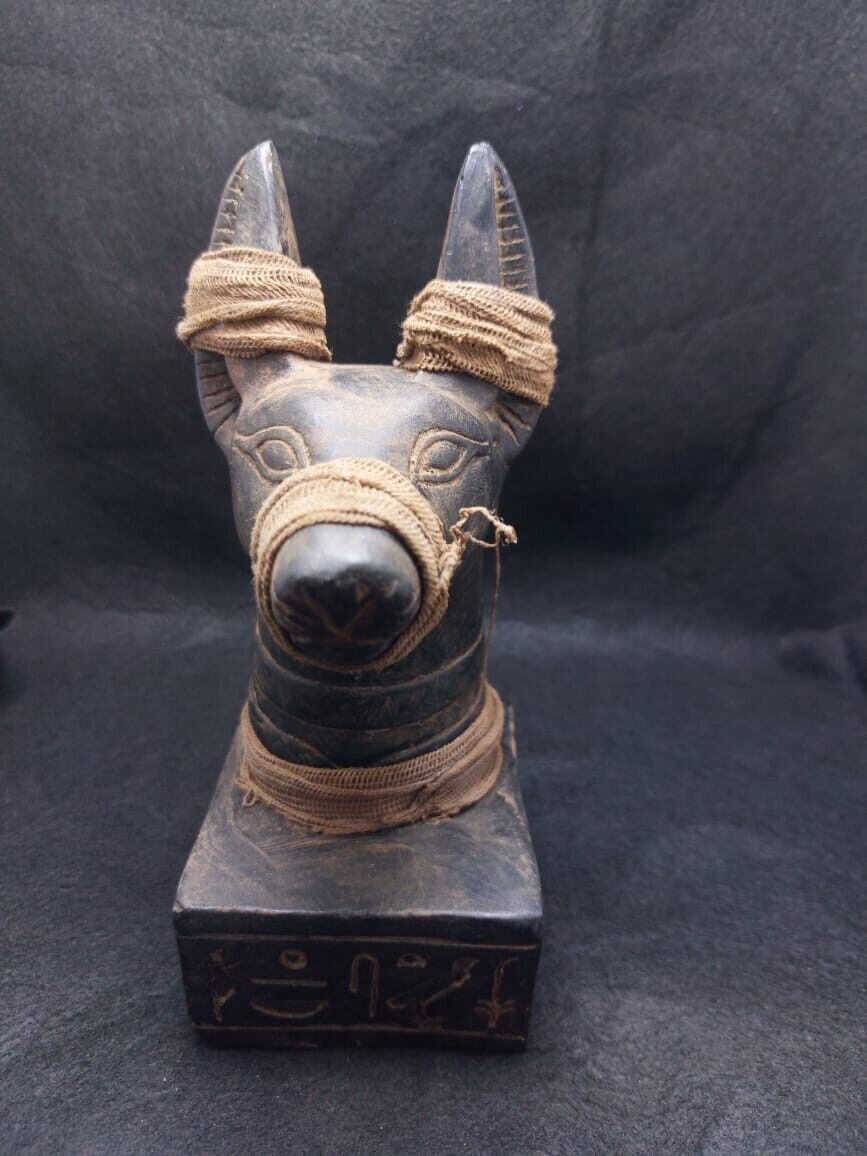 Rare Ancient Egyptian Antiques Anubis Head God Of The Underworld Egyptian BC