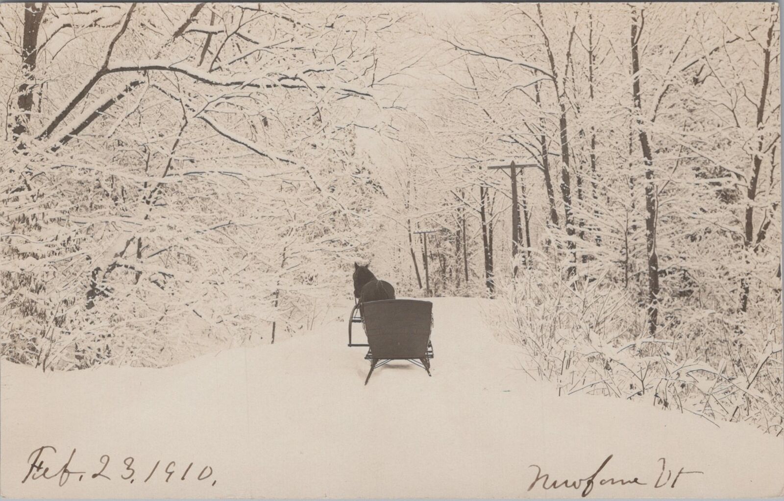Winter Scene Horse Snow Sled Newfane Vermont RPPC c1910s Photo Postcard