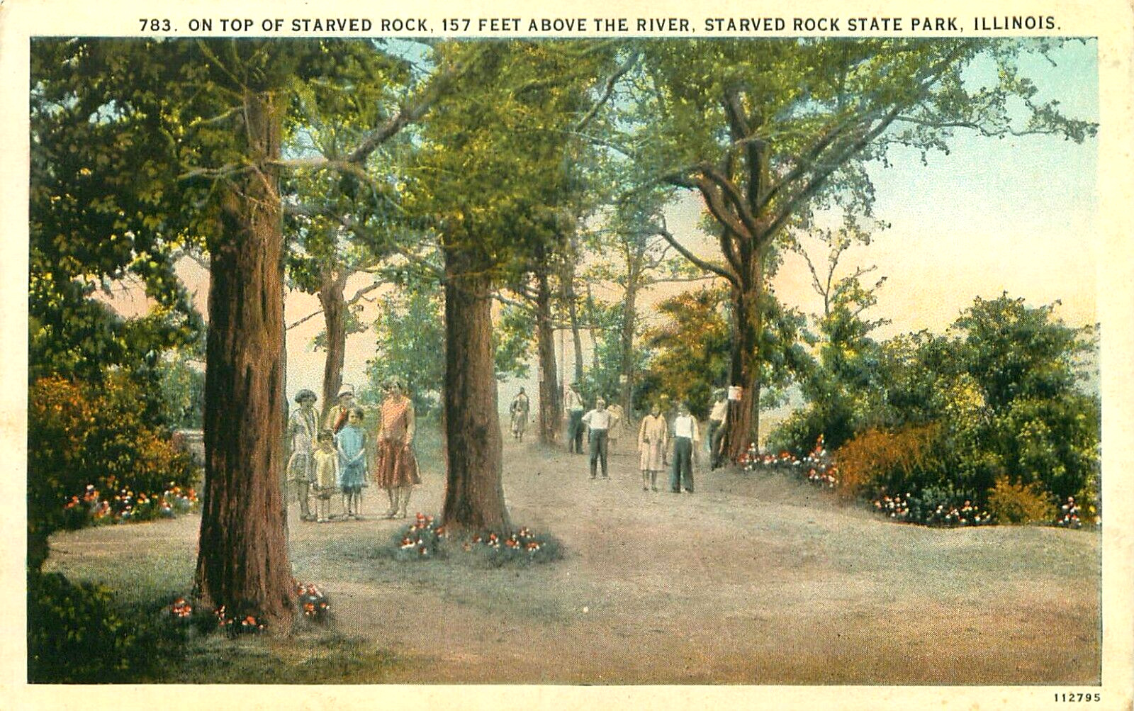 On Top of Starved Rock, Starved Rock State Park Illinois Vintage Postcard