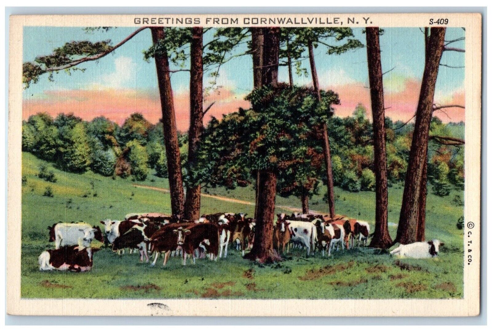 1948 Greetings From Cornwallville New York NY, Cows Posted Vintage Postcard