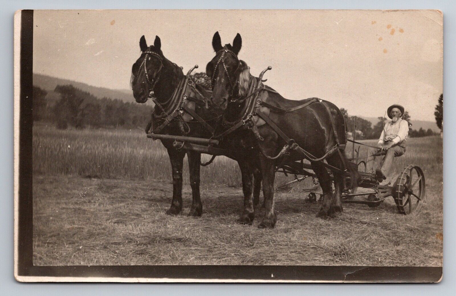 RPPC Horse Team And Farmer Cutting Grass,Slab City,Grafton,N.H.UNP Circa 1904
