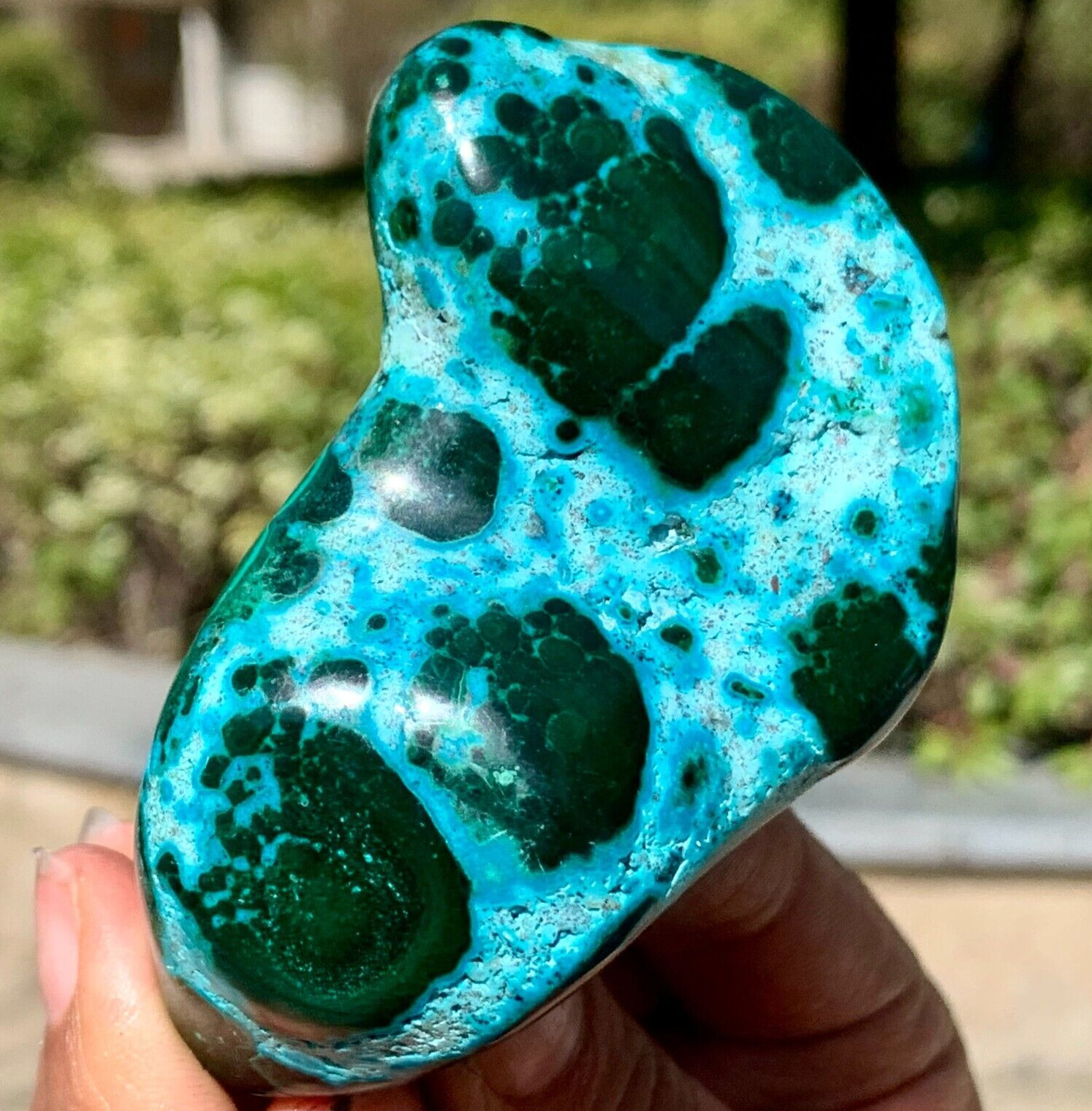168G Natural Chrysocolla/Malachite transparent cluster rough mineral sample
