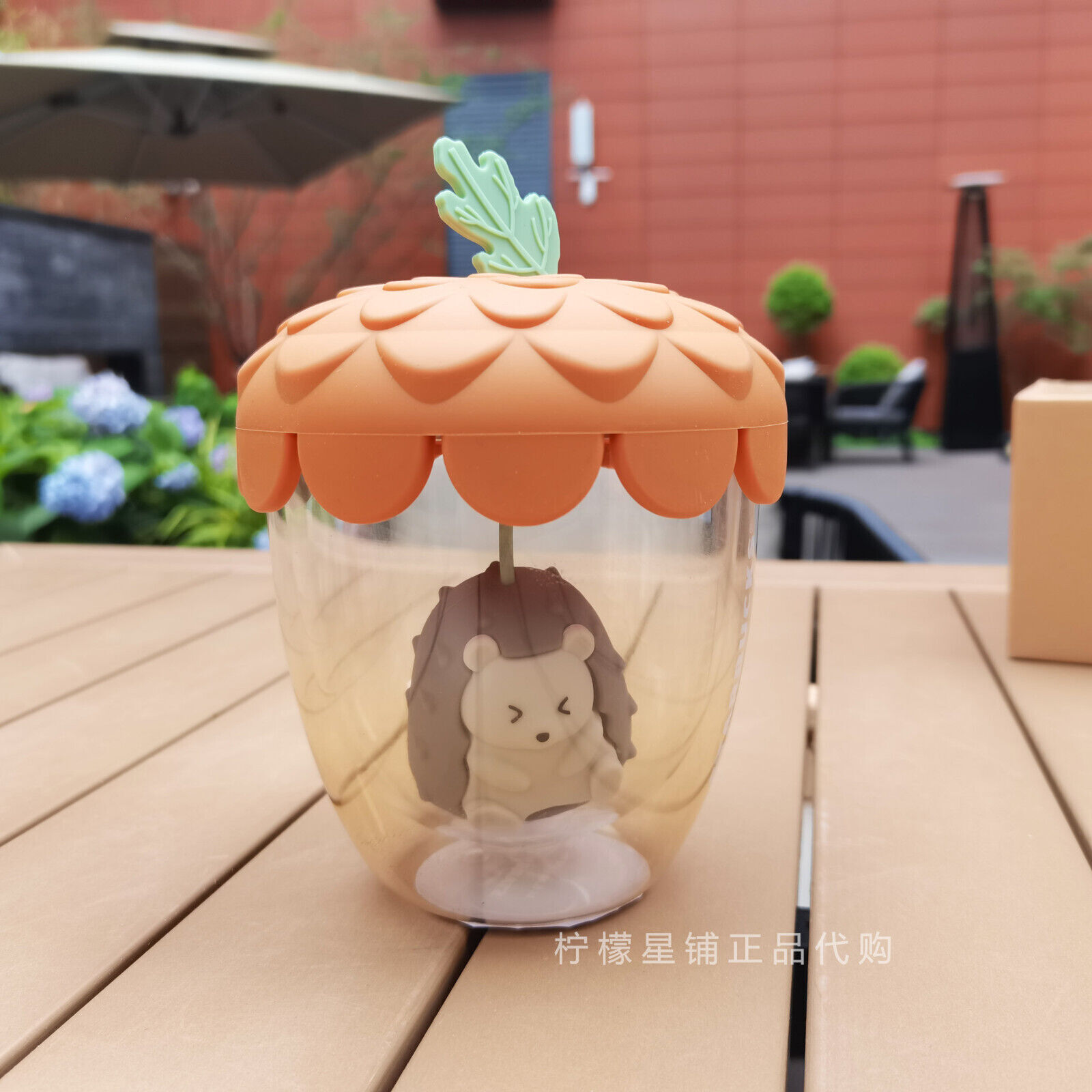 Starbucks 2023 China Autumn Cute Fox Acorn Wall Glass Cup Tumbler Ceramic Mugs