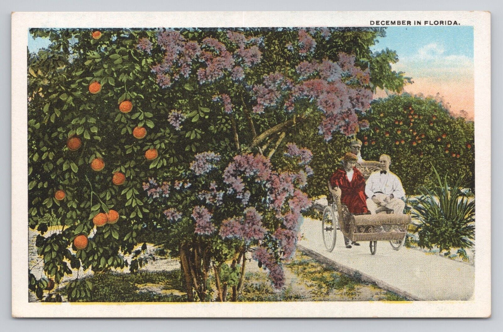 Postcard December In Florida