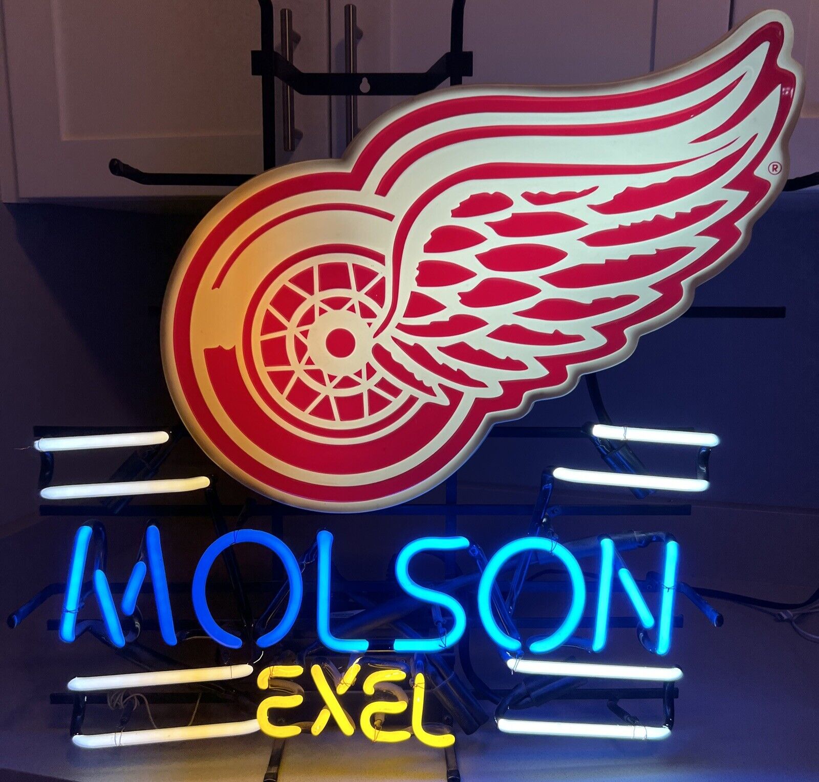 (VTG) 1996 MOLSON BEER DETROIT REDWINGS NHL HOCKEY BAR NEON LIGHT SIGN RARE