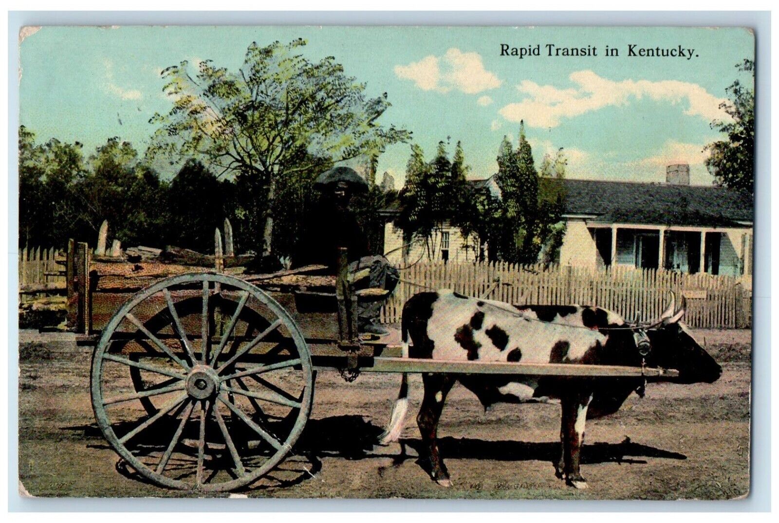 1912 Rapid Transit Kentucky Cow Exhibit American Diamalt Louisville KY Postcard