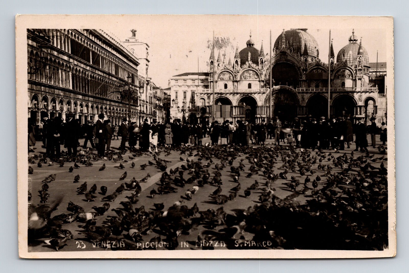 1929 RPPC Pigeons at Piazza San Marco Venice Italy Postcard
