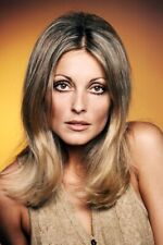 Sharon Tate Stunning 24x36 inch Poster Iconic 1960's Portrait picture