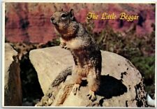 Postcard - The Little Beggar picture