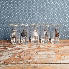 Rare Vintage Cat Drinking Glasses Tea Glass Gold Rim Realistic Detailed Set Of 5 picture