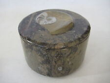 Vintage Round Shaped Geisonoceras Fossil Trinket Box, 3