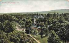 c1910 Aerial Birds Eye View Westfield NY P497 picture