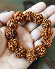 5 Five Mukhi Rudraksha Stretchable Bracelet Nepal Origin Energized picture