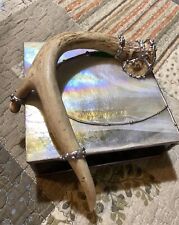 Vintage 80s Stained Glass Handmade Deer Horn Mother Of Pearl & Ammonite Art Box picture