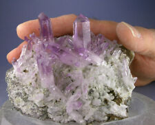 LARGE AMAZING GEMMY AMETHYST CRYSTALS FORMATION, VERACRUZ MEXICO, GLOBE MINERALS picture