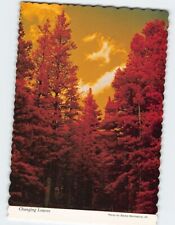 Postcard Changing Leaves at St. Mary's Glacier Colorado USA picture