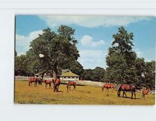 Postcard Beautiful Kentucky Horse Farm, Kentucky picture