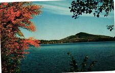 Vintage Postcard- Loon Lake, Adirondacks, NY picture