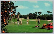 Postcard Golfing in Florida Orange Tree Golf Cart picture